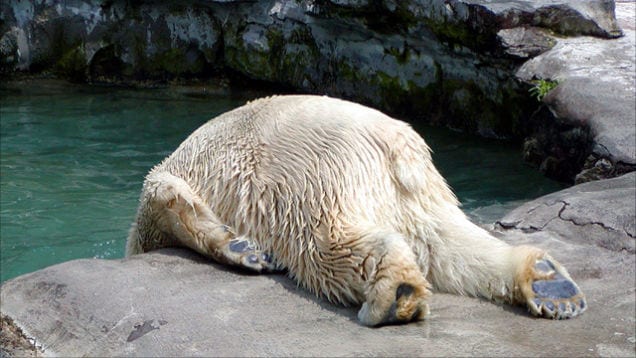 6 Simple Tricks to cure a hangover - How to get rid of a dreadful hangover - 6 tips to help you get over a bad hangover