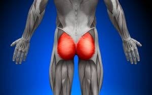 3 Tips to help you build a firmer Butt - sheffield personal trainer - sheffield personal training - sheffield personal trainers