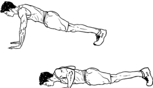 Push Ups (chest, triceps) 