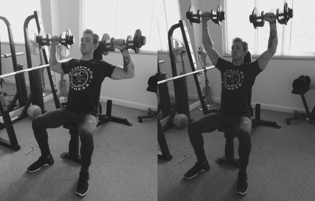 Seated DB Press