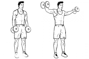 Side Raises (shoulders) 
