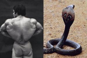 the v-taper look - wide back, and shoulders narrow waist