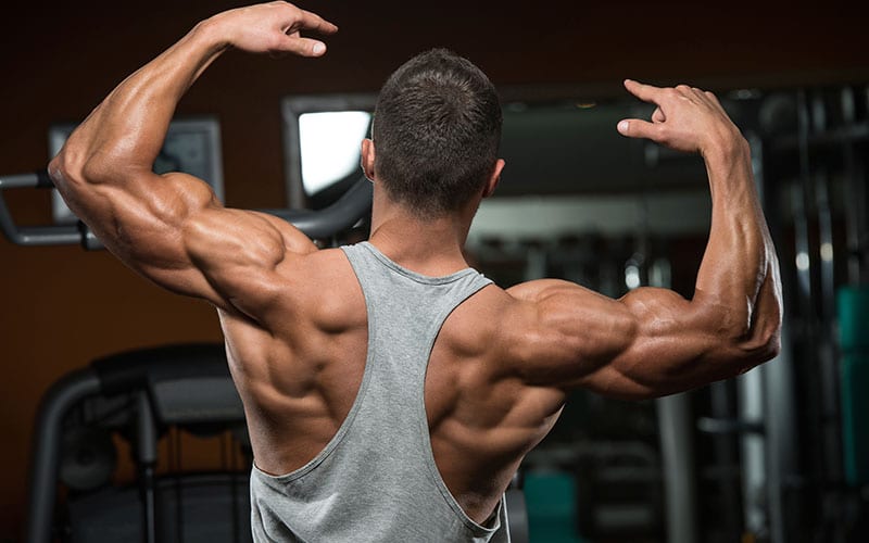 exercises_for_back_development