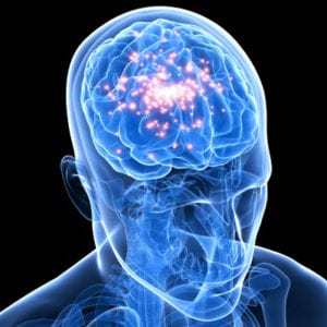 The Serotonin Diet – A Profitable Myth or The Latest Fat Busting Fad? The Serotonin Diet – A Profitable Myth or The Latest Fat Busting Fad?