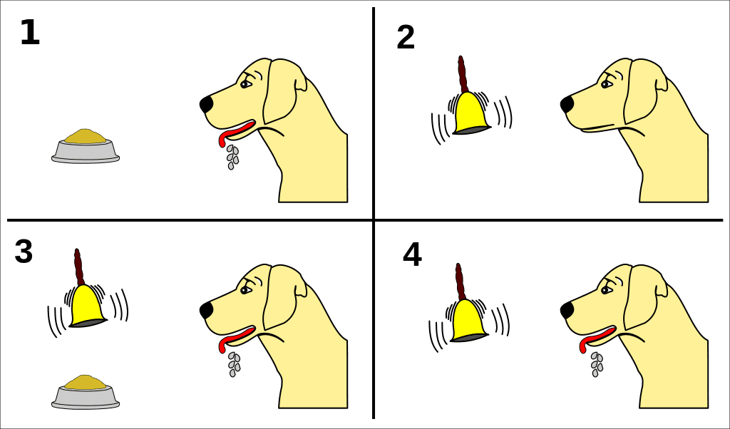 Pavlov’s Dog Experiment Pavlov’s Dog Experiment - LEP Fitness