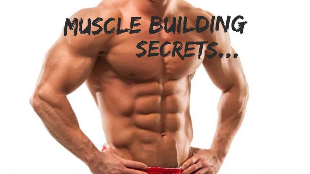 50 Muscle Building Tips 50 Muscle Building Tips