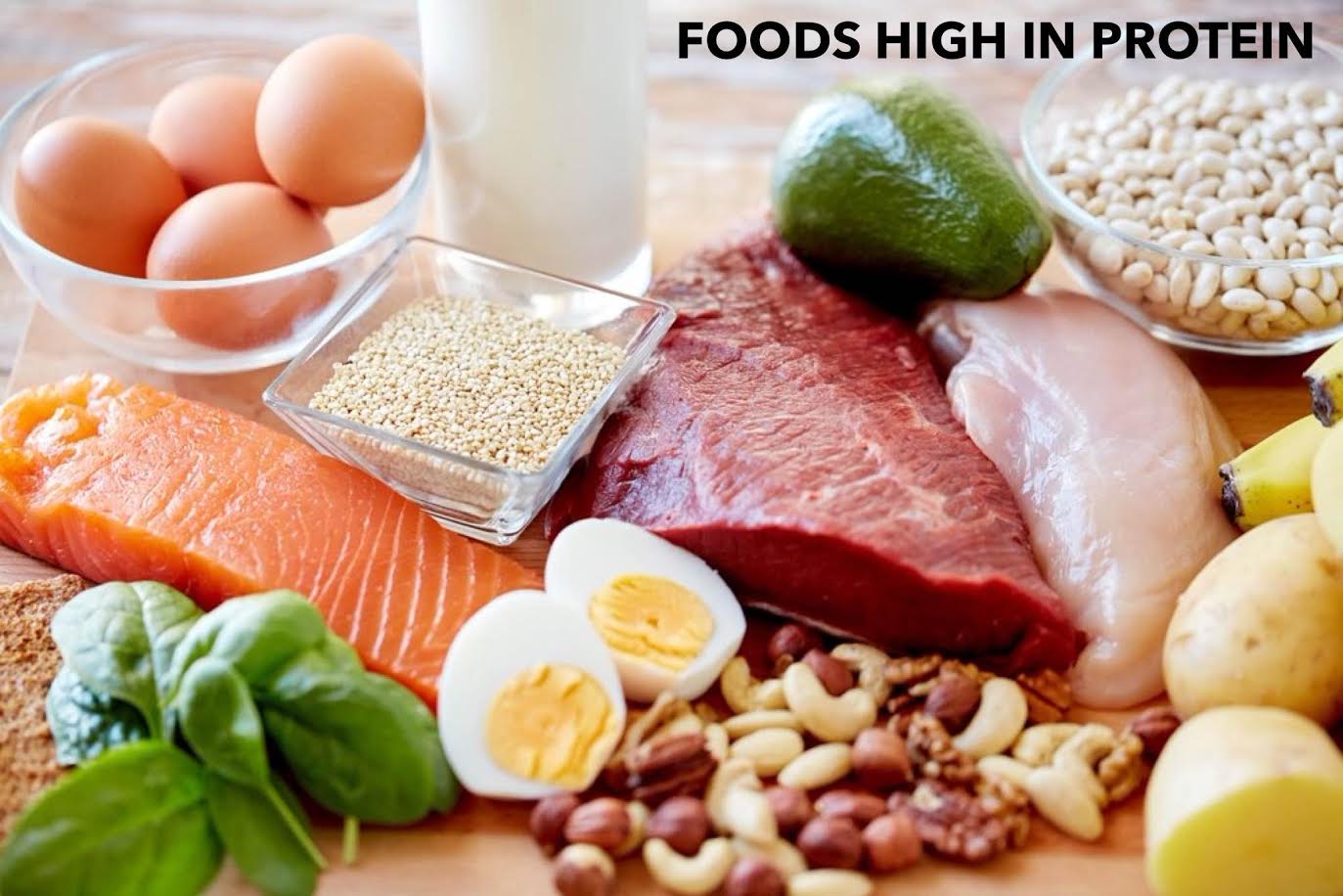 protein helps you lose fat protein helps you lose fat