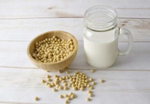 soy protein soy protein