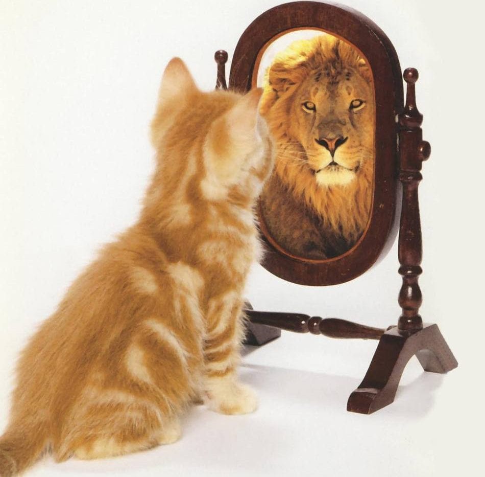 Why We Should Focus More on Psychology Rather Than Physiology… Why We Should Focus More on Psychology Rather Than Physiology…