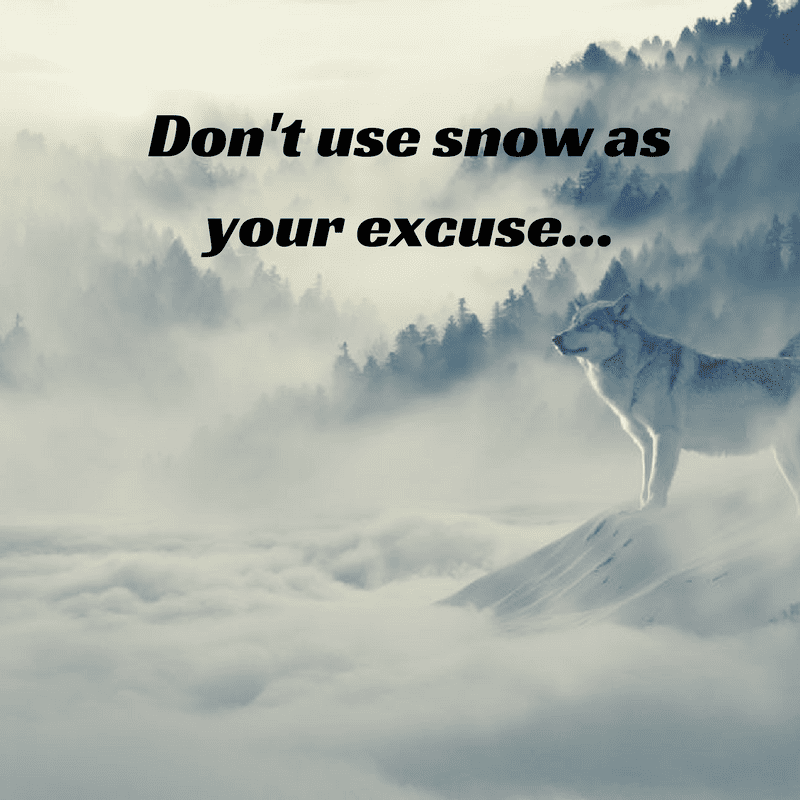 I didn't workout because of the snow... I didn't workout because of the snow...