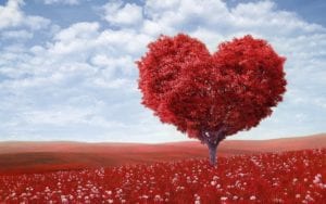 The Importance of Self Acceptance