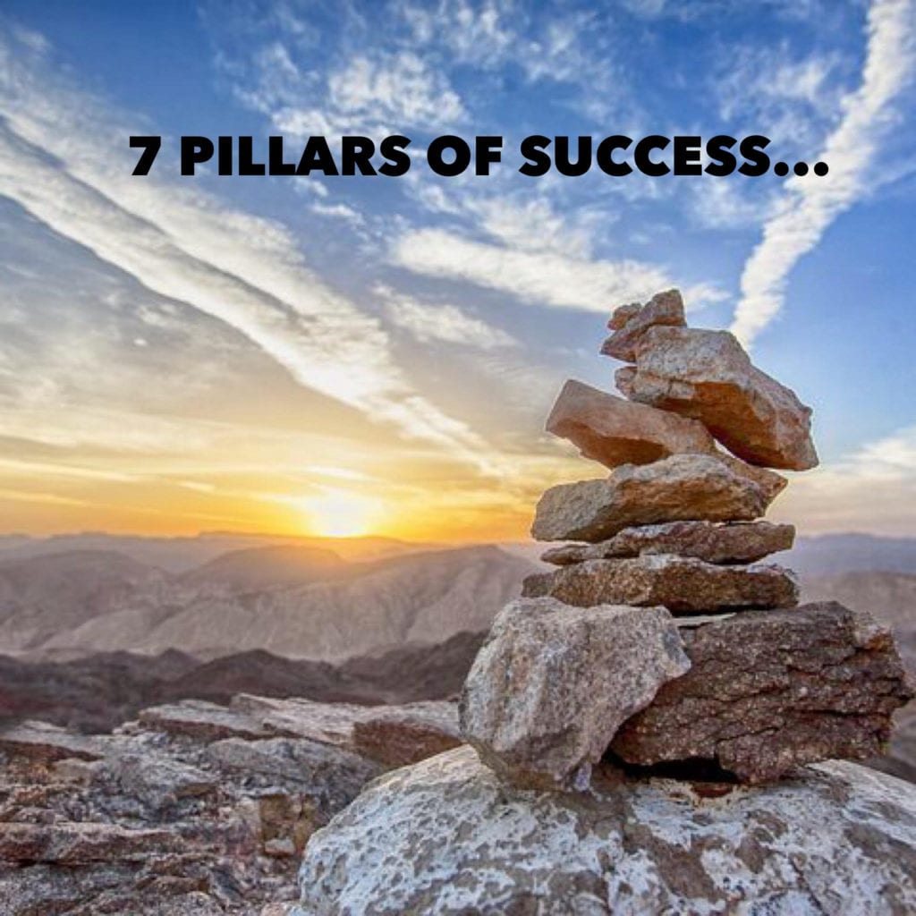 The 7 Pillars Of A Successful Physical Transformation