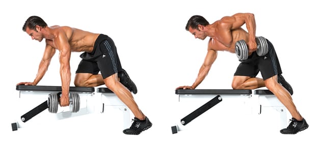 Dumbell rows with LEP Fitness