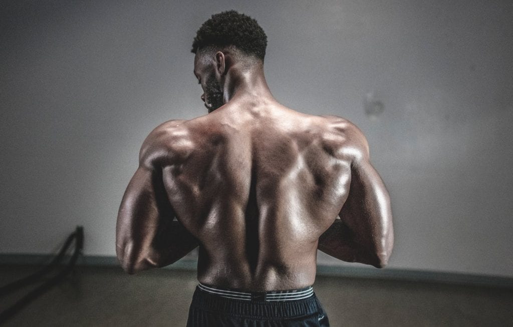 The Science Of Muscle Building by LEP Fitness