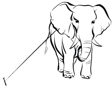 The Elephant And The Twig story