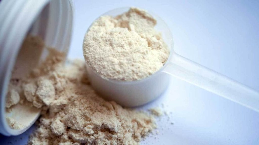 Can Protein Shakes Help You Lose Weight