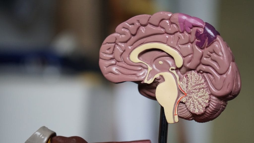 5 Ways To Boost Your Brain Power