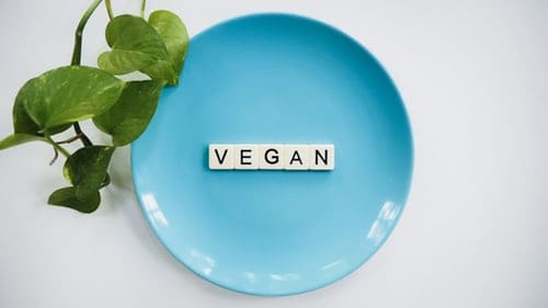 WHAT IS VEGAN